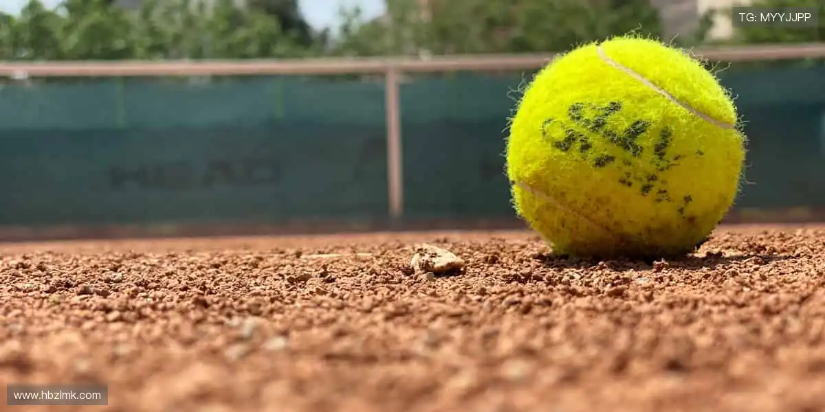一键直击全球赛事,精彩从不缺席!🏀