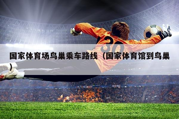 国家体育场鸟巢乘车路线（国家体育馆到鸟巢）