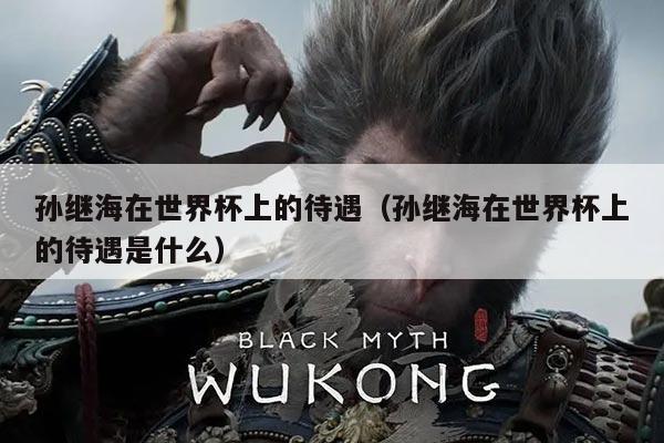 孙继海在世界杯上的待遇（孙继海在世界杯上的待遇是什么）