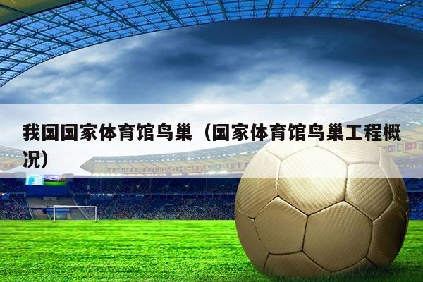 我国国家体育馆鸟巢（国家体育馆鸟巢工程概况）