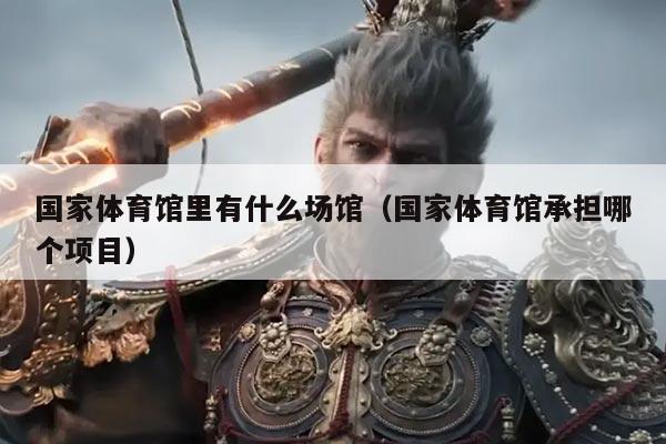 国家体育馆里有什么场馆（国家体育馆承担哪个项目）