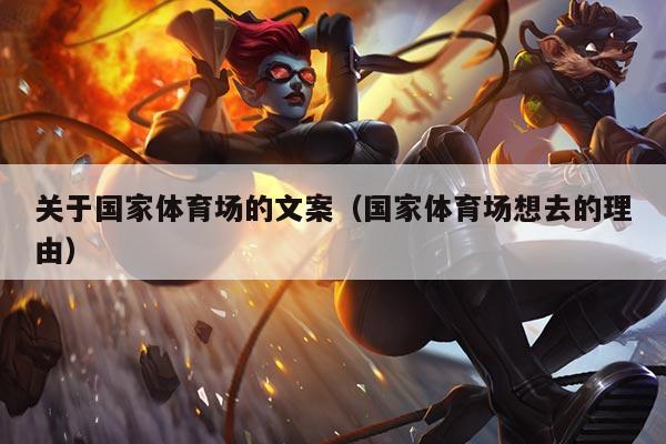 关于国家体育场的文案（国家体育场想去的理由）